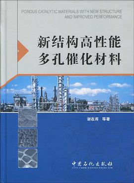 新结构高性能多孔催化材料 pdf epub mobi 电子书 下载