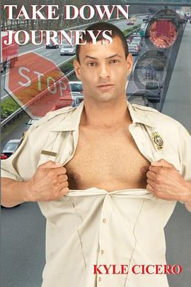 Take Down Journeys pdf epub mobi 电子书 下载
