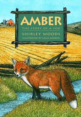 Amber pdf epub mobi 电子书 下载