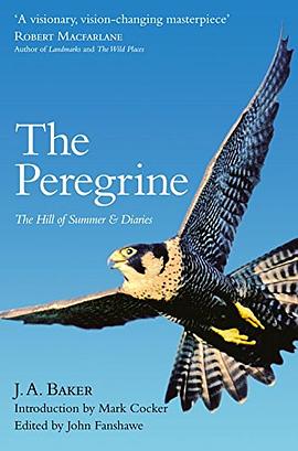 The Peregrine pdf epub mobi 电子书 下载