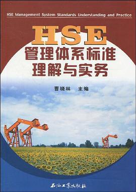 HSE管理体系标准理解与实务 pdf epub mobi 电子书 下载