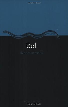 Eel pdf epub mobi 电子书 下载
