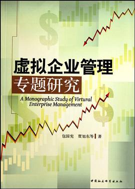 虚拟企业管理专题研究 pdf epub mobi 电子书 下载
