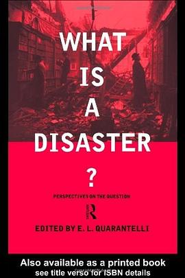What is a Disaster? pdf epub mobi 电子书 下载