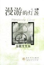 漫游的灯盏 pdf epub mobi 电子书 下载