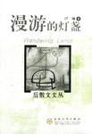 漫游的灯盏 pdf epub mobi 电子书 下载