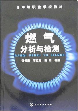 燃气分析与检测 pdf epub mobi 电子书 下载