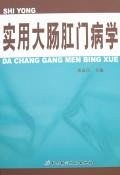 实用大肠肛门病学 pdf epub mobi 电子书 下载
