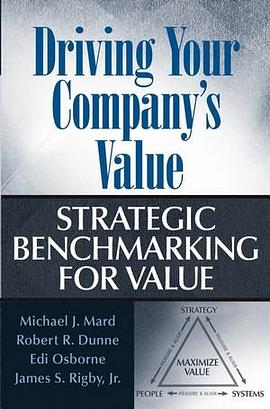 Driving Your Company's Value推动公司价值观 pdf epub mobi 电子书 下载