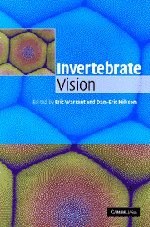 Invertebrate Vision pdf epub mobi 电子书 下载
