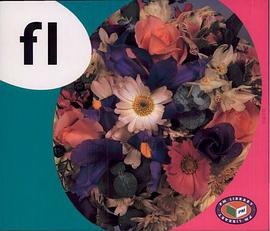 PM Alphabet Blends: fl pdf epub mobi 下载