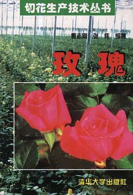 玫瑰 pdf epub mobi 电子书 下载