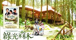 绿光森林电视剧原声带(CD) pdf epub mobi 电子书 下载