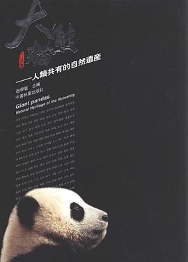 大熊猫（繁体中文版） pdf epub mobi 电子书 下载
