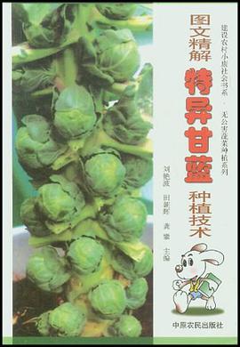 图文精解特异甘蓝种植技术