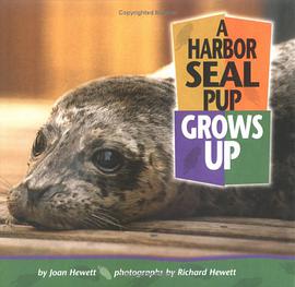 A Harbor Seal Pup Grows Up pdf epub mobi 电子书 下载