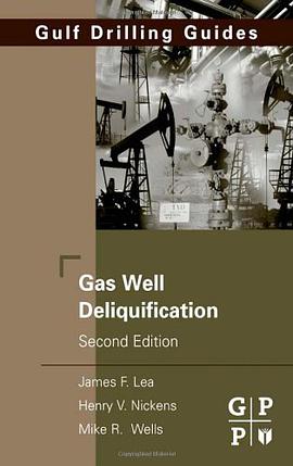 Gas Well Deliquification, Second Edition pdf epub mobi 电子书 下载