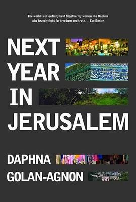 Next Year in Jerusalem pdf epub mobi 电子书 下载