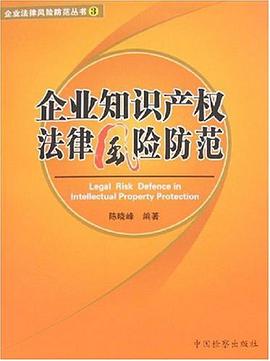 企业知识产权法律风险防范 pdf epub mobi 电子书 下载