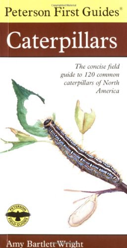 First Guide to Caterpillars pdf epub mobi 下载