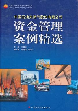 资金管理案例精选 pdf epub mobi 电子书 下载