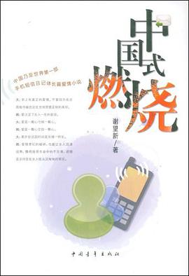中国式燃烧 pdf epub mobi 电子书 下载