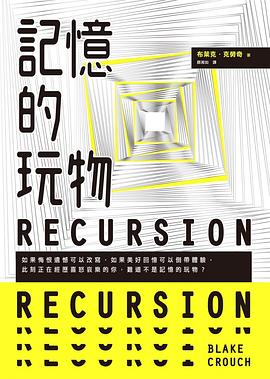 記憶的玩物 pdf epub mobi 电子书 下载