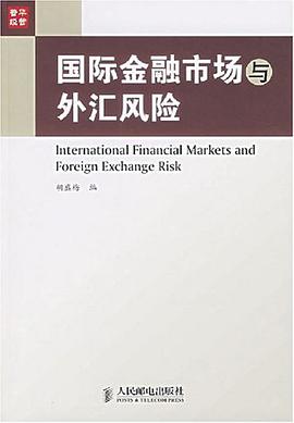 国际金融市场与外汇风险 pdf epub mobi 电子书 下载