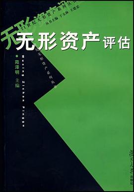 无形资产评估 pdf epub mobi 电子书 下载