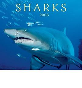 Sharks 2008 Calendar pdf epub mobi 電子書 下載