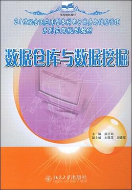 数据仓库与数据挖掘 pdf epub mobi 电子书 下载