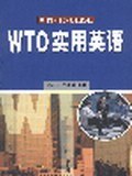 WTO实用英语 pdf epub mobi 电子书 下载
