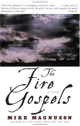 The Fire Gospels pdf epub mobi 电子书 下载
