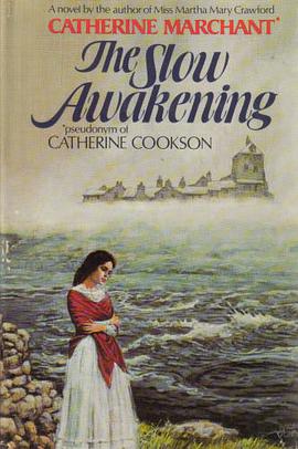 The slow awakening pdf epub mobi 电子书 下载