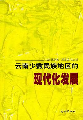 云南少数民族地区的现代化发展 (精装) pdf epub mobi 下载