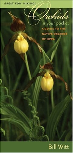Orchids in Your Pocket pdf epub mobi 电子书 下载