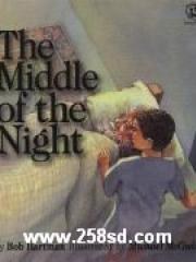 The Middle of the Night pdf epub mobi 电子书 下载
