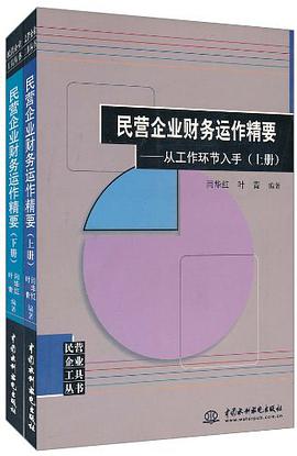 (特价书)民营企业财务运作精要 pdf epub mobi 电子书 下载