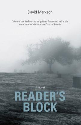 Reader's Block (American Literature (Dalkey Archive)) pdf epub mobi 电子书 下载