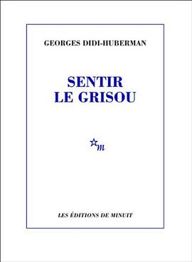 Sentir le grisou pdf epub mobi 電子書 下載