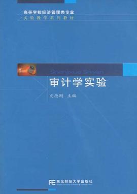 审计学实验 pdf epub mobi 电子书 下载