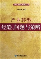 产业转型经验.问题与策略 pdf epub mobi 电子书 下载