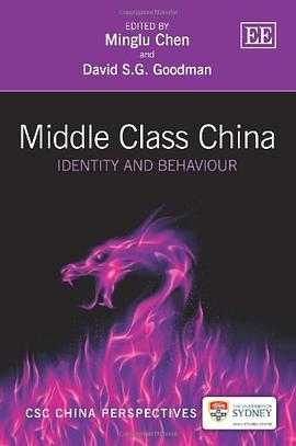 Middle Class China pdf epub mobi 电子书 下载