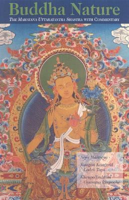 Buddha Nature pdf epub mobi 电子书 下载