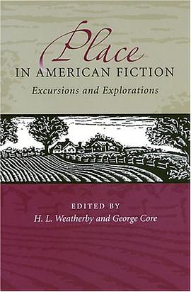 Place in American Fiction pdf epub mobi 电子书 下载