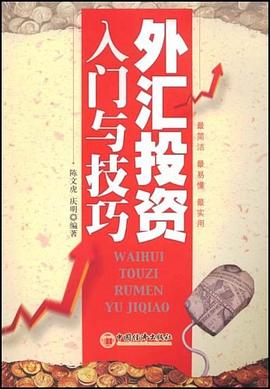 外汇投资入门与技巧 pdf epub mobi 电子书 下载