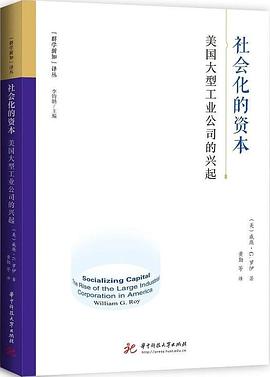社会化的资本 pdf epub mobi 电子书 下载
