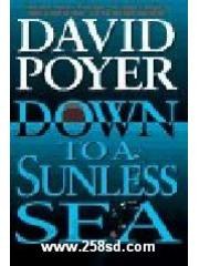 Down to a Sunless Sea: A Tiller Galloway Thriller pdf epub mobi 电子书 下载