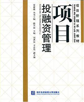 项目投融资管理 pdf epub mobi 电子书 下载