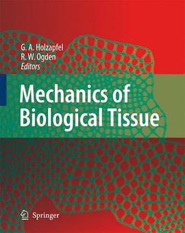 Mechanics of Biological Tissue pdf epub mobi 電子書 下載